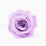 'Petit Fleur' Single Preserved Single Rose Mini Box