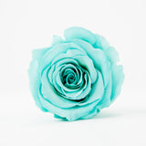'Petit Fleur' Single Preserved Single Rose Mini Box