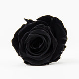 'Petit Fleur' Single Preserved Single Rose Mini Box