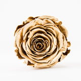'Petit Fleur' Single Preserved Single Rose Mini Box