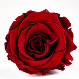'Petit Fleur' Single Preserved Single Rose Mini Box