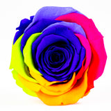'Petit Fleur' Single Preserved Single Rose Mini Box