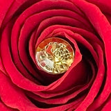 'Magnifico' 6 (or 12) Preserved Roses & Chocolates Gift Set