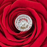 Enchanted Rose Deluxe Glass Dome - LARGE