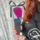 Single Long Life Rose in a Bartizan Box