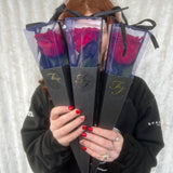 Single Long Life Rose in a Bartizan Box