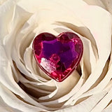 Indulgence Pink Preserved Roses Pink Velvet Box (Large)