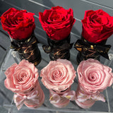 'Petit Fleur' Single Preserved Single Rose Mini Box