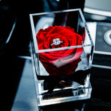 'La Rosa Bebé' Acrylic Box Single Rose