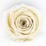 L'Clair-9 Rose Acrylic Box - Preserved Roses