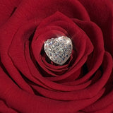 L'Clair-9 Rose Acrylic Box - Preserved Roses