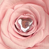 'Suspended Rose Pendant' Set