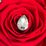 'La Rosa Bebé' Acrylic Box Single Rose