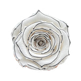 'Petit Fleur' Single Preserved Single Rose Mini Box