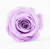 [shop_name - Forever Flowers