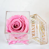 'La Rosa Bebé' Acrylic Box Single Rose