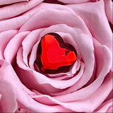 Opulence Bling Large Heart or Round Box (32-42 Preserved Roses)