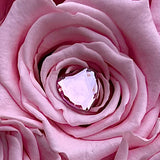 Aubrey Double Boxed Grandiose Heart (29-35 Preserved Roses)