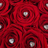 Champs-Élysées Preserved Rose Vase Arrangement