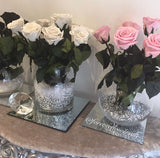 'Infinity' 30cm Rose Stems - 6 OR MORE stems