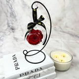 Suspended Rose Pendant Set