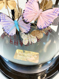 'Butterflies' by Forever Flowers © Glass Dome - LARGE