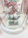 'Butterflies' by Forever Flowers © Glass Dome - LARGE
