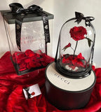 Enchanted Rose Deluxe Glass Dome - LARGE
