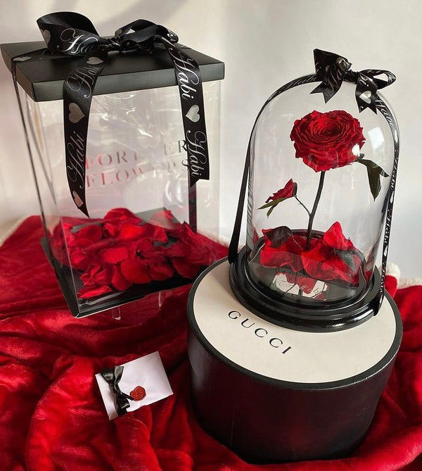 Enchanted Rose Deluxe Glass Dome - LARGE