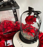 Enchanted Rose Deluxe Glass Dome - LARGE
