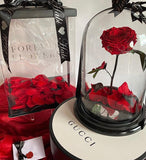 Enchanted Rose Deluxe Glass Dome - LARGE