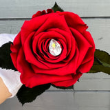 'Magnifico' 6 (or 12) Preserved Roses & Chocolates Gift Set