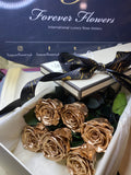 'Infinity' 30cm Rose Stems - 6 OR MORE stems