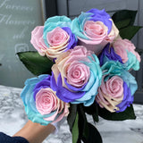 'Infinity' 30cm Rose Stems - 6 OR MORE stems