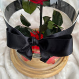 Enchanted Rose Deluxe Glass Dome - LARGE