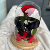 Enchanted Rose Deluxe Glass Dome - LARGE