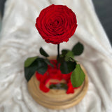 Enchanted Rose Deluxe Glass Dome - LARGE