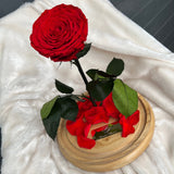 Enchanted Rose Deluxe Glass Dome - LARGE