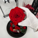 Enchanted Rose Deluxe Glass Dome - LARGE