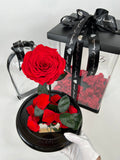 Enchanted Rose Deluxe Glass Dome - LARGE