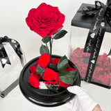 Enchanted Rose Deluxe Glass Dome - LARGE