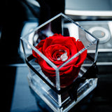 'La Rosa Bebé' Acrylic Box Single Rose