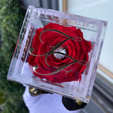 'La Rosa Bebé' Acrylic Box Single Rose