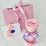 'Petit Fleur' Single Preserved Single Rose Mini Box