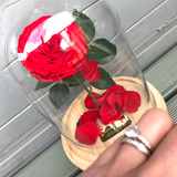 Enchanted Rose Deluxe Glass Dome - LARGE
