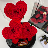 Bellissimo Hearts Glass Dome - LARGE