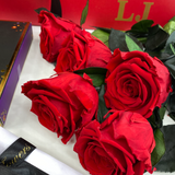 'Magnifico' 6 (or 12) Preserved Roses & Chocolates Gift Set