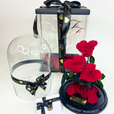 Bellissimo Hearts Glass Dome - LARGE