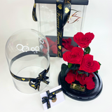Bellissimo Hearts Glass Dome - LARGE