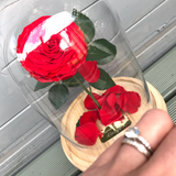 Enchanted Rose Deluxe Glass Dome - LARGE